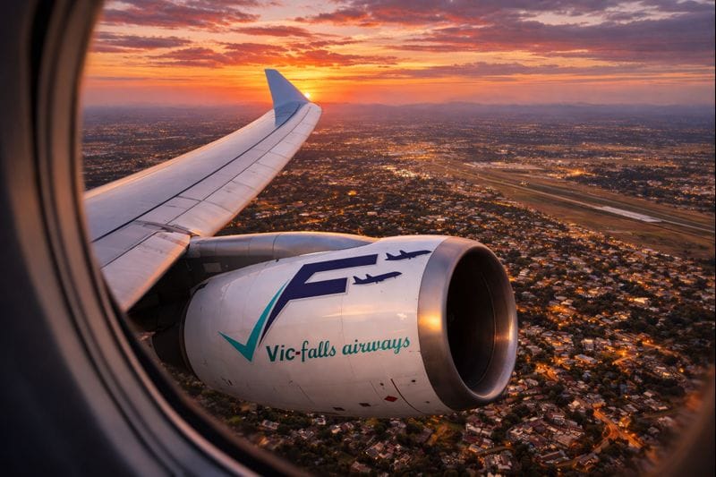 African Wildlife - Safari Experience